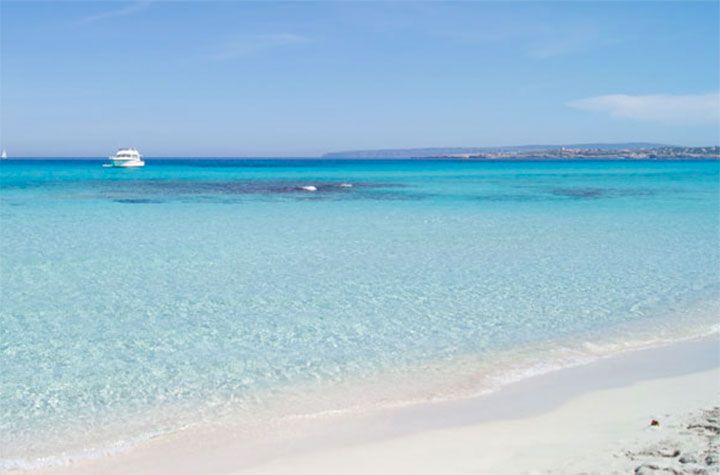 10 playas de España a las que puedes ir con perros