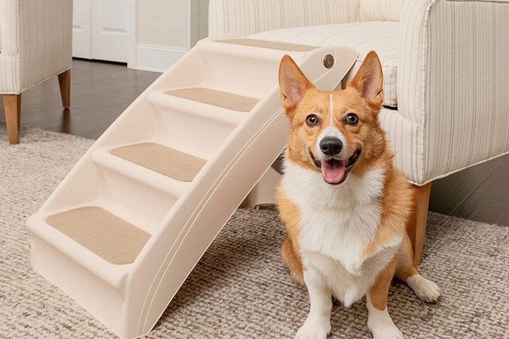 ¿Qué son las escaleras para perros?