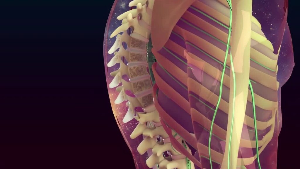 ¿Qué es la osteoporosis?