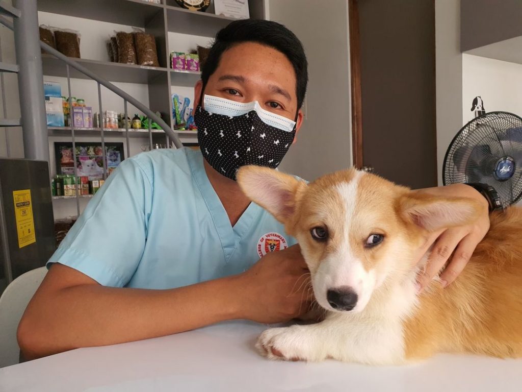 Por qué no debes castrar a tu perro 1 Vida.es Por qué no debes castrar a tu perro