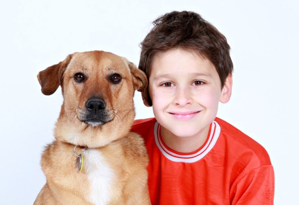 El truco para ensenarle su nombre a tu perro1 Vida.es