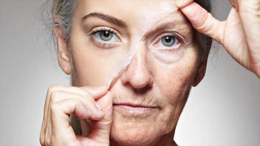 Psicología del envejecimiento: qué es y qué funciones tiene 1 Vida.es ¿Qué es el envejecimiento?