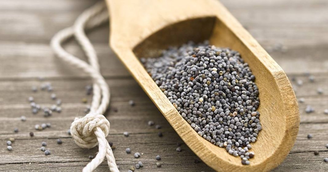 Semillas de amapola: los motivos por los que debes agregarlas a tu dieta 1 Vida.es Semillas de amapola: La semilla olvidada
