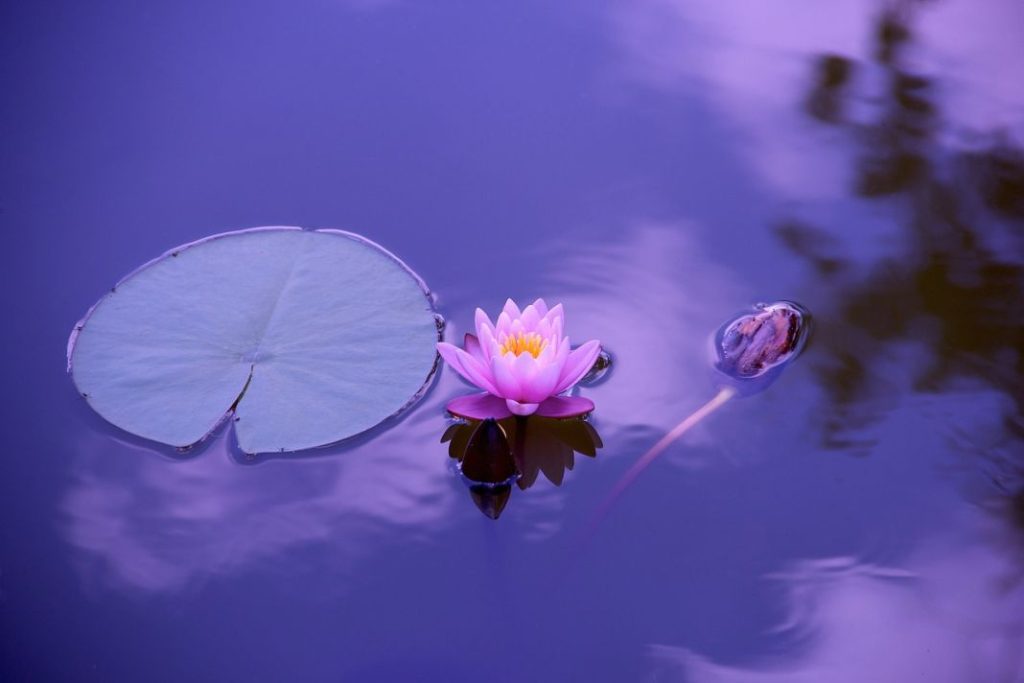 Técnicas de meditación para principiantes