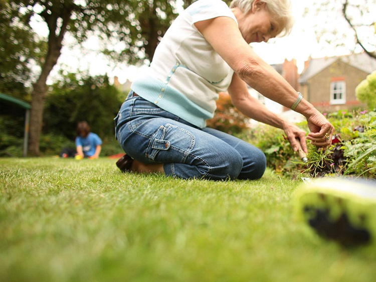 Independencia en la vejez