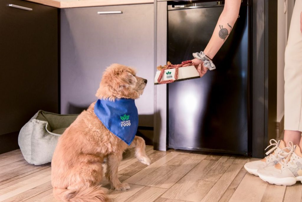 Este es el mejor menú de Navidad para tu perro o gato 1 Vida.es Este es el mejor menú de Navidad para tu perro o gato