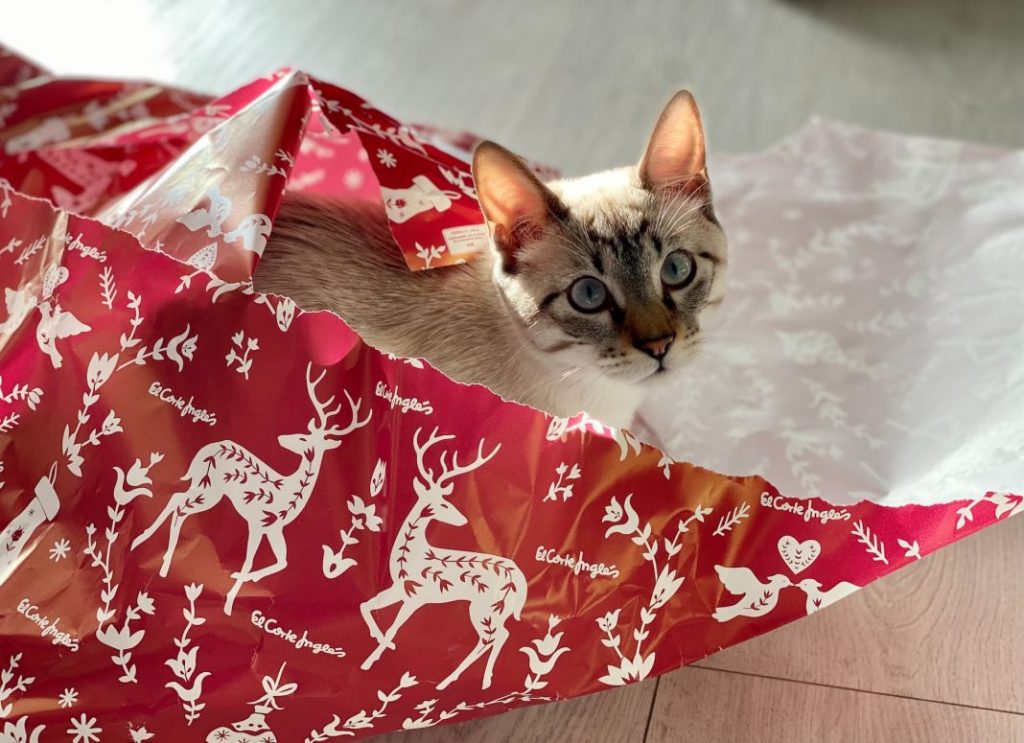 Regalos de Navidad para mascotas que le encantarán de verdad