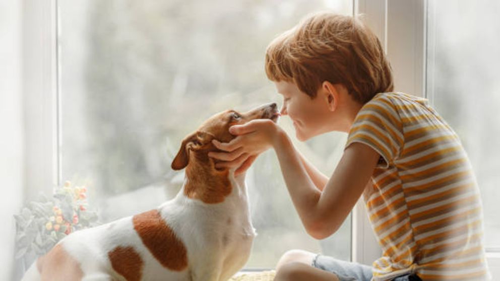 ¿Qué es la zoonosis y la zooantroponosis?