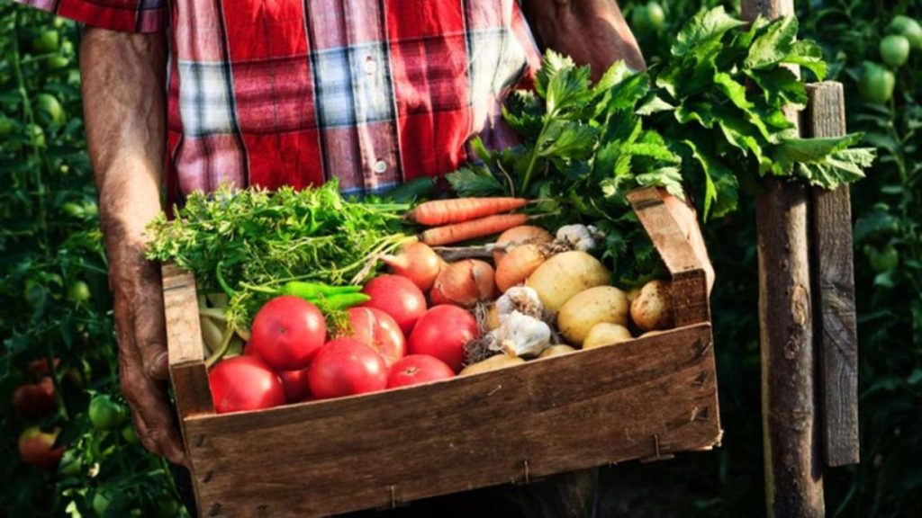 Lío en el supermercado: ¿qué diferencias hay entre alimentos bio, ecológicos y orgánicos? 2 Vida.es ¿Qué son orgánicos?