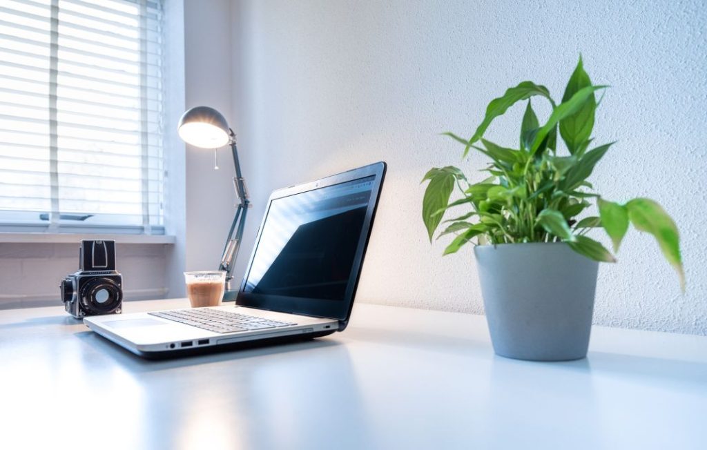 Plantas en el trabajo en la oficina