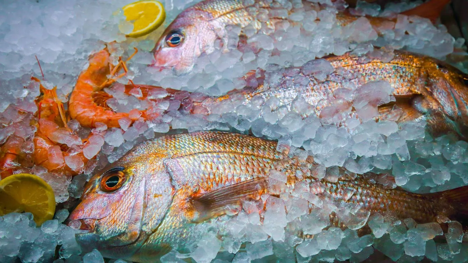 Este es el truco desconocido para que el pescado congelado no pierda su  sabor