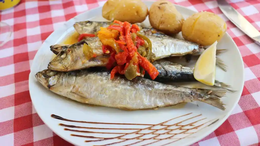 Sardinas: qué tipo de pez son, qué aspecto tienen y dónde viven
