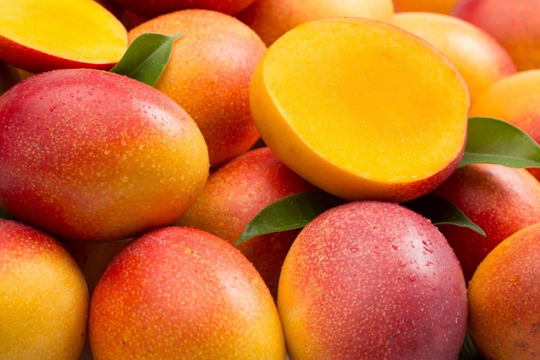 Mango, una fruta con grandes beneficios para la salud