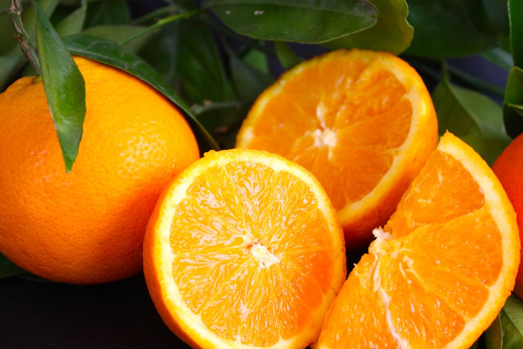 Una fuente de antioxidantes que combaten el envejecimiento prematuro
