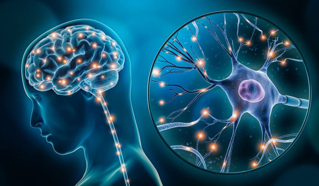 La psicología del éxito: claves para alcanzar tus metas 2 Vida.es Fomenta una mentalidad de crecimiento