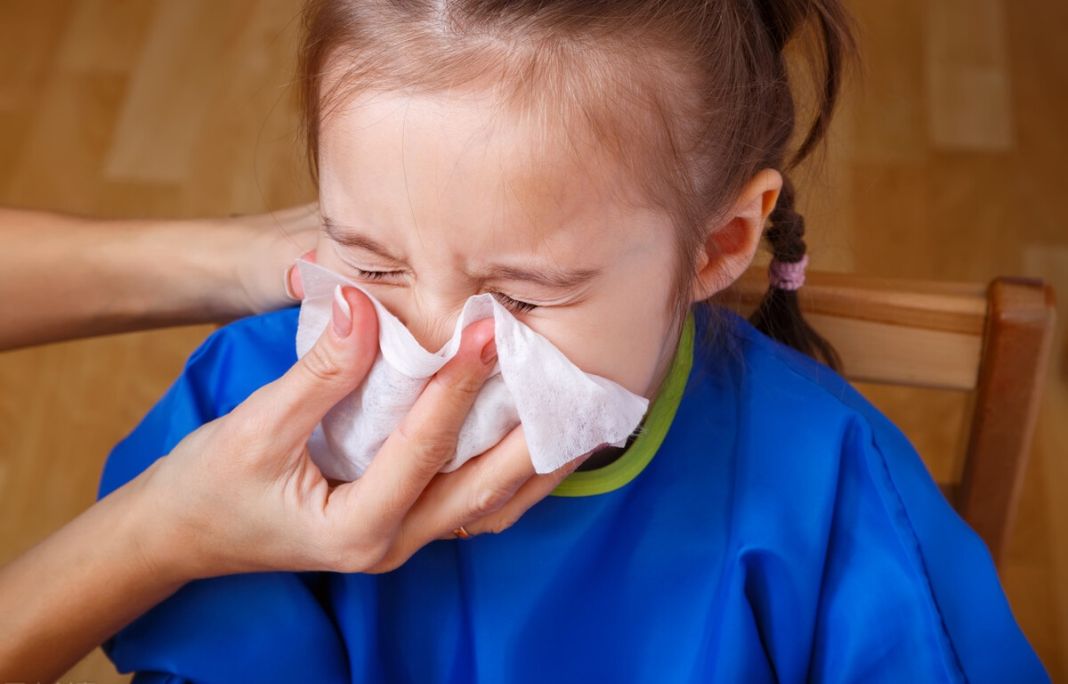 Consejos para evitar la fiebre del heno en la primavera