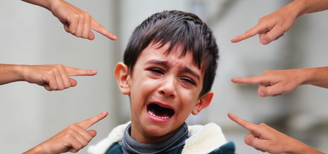La relación entre la violencia y la salud mental: un enfoque psicológico 4 Vida.es Cómo pueden los profesionales de la salud mental ayudar