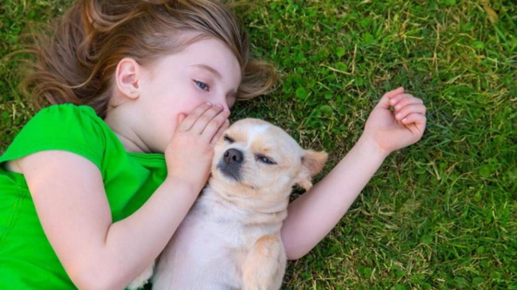 Nuestros perros han adoptado su forma de comunicarse de los lobos