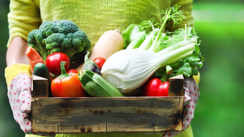 Dieta DASH: cómo reducir la presión arterial y mejorar la salud cardiovascular 1 Vida.es ¿Qué es la dieta DASH?