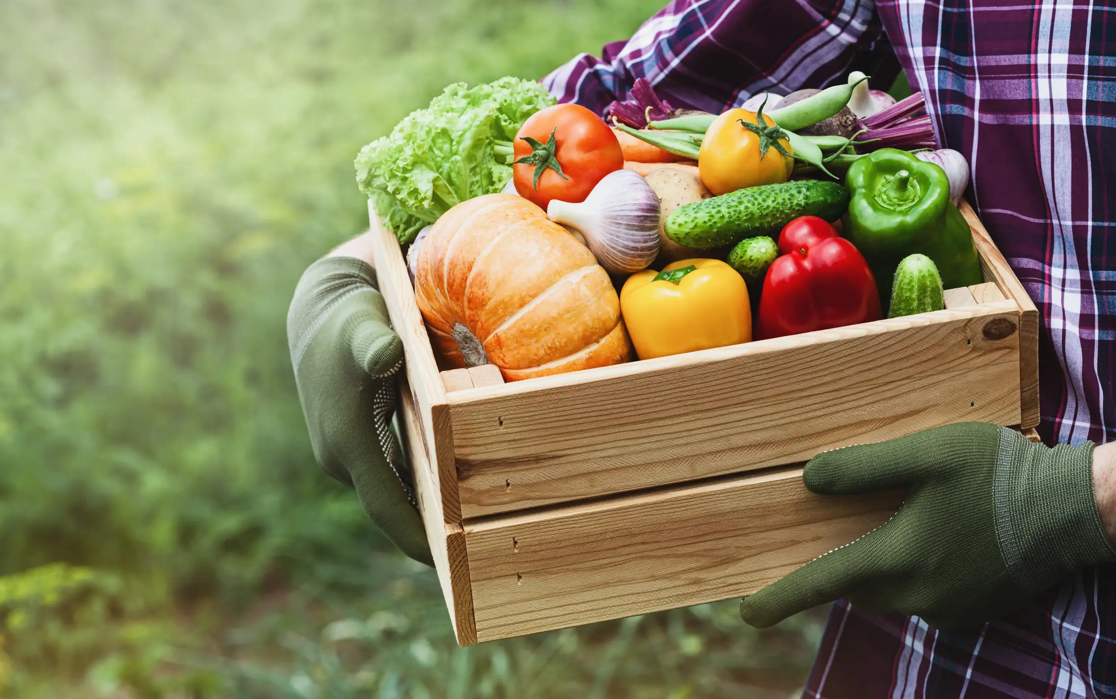 Garantizar un acceso equitativo a los alimentos