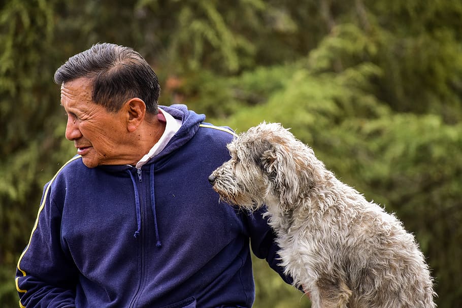 ¿Cuál es la mejor mascota para una persona mayor? 1 Vida.es ¿Qué mascota es la más adecuada?