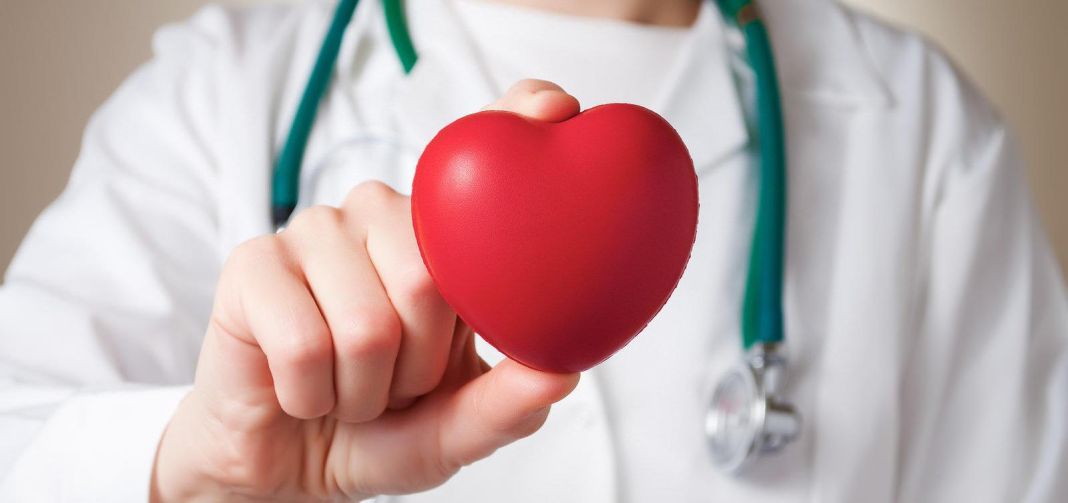 Enfermedades cardiovasculares: estas son las nuevas terapias para los pacientes 3 Vida.es Terapia de electrodos