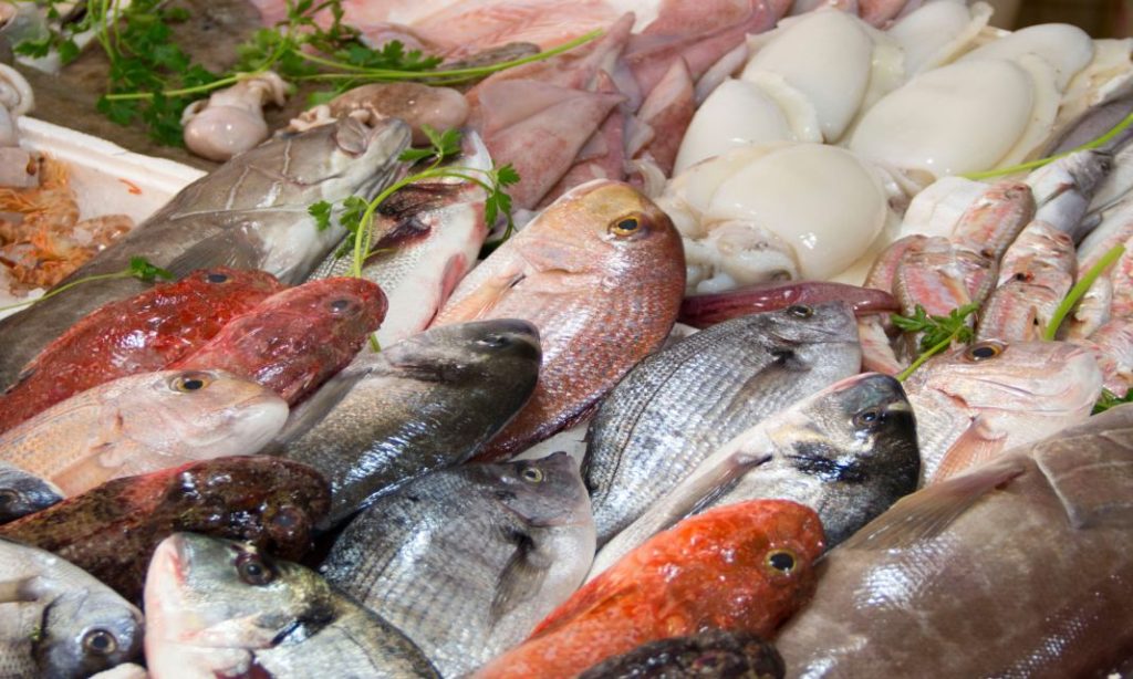 Estas son las temporadas de cada pescado en Espana 1 Vida.es