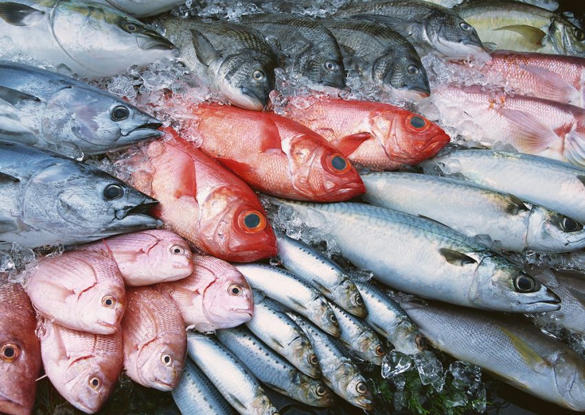 Pescados más sanos
