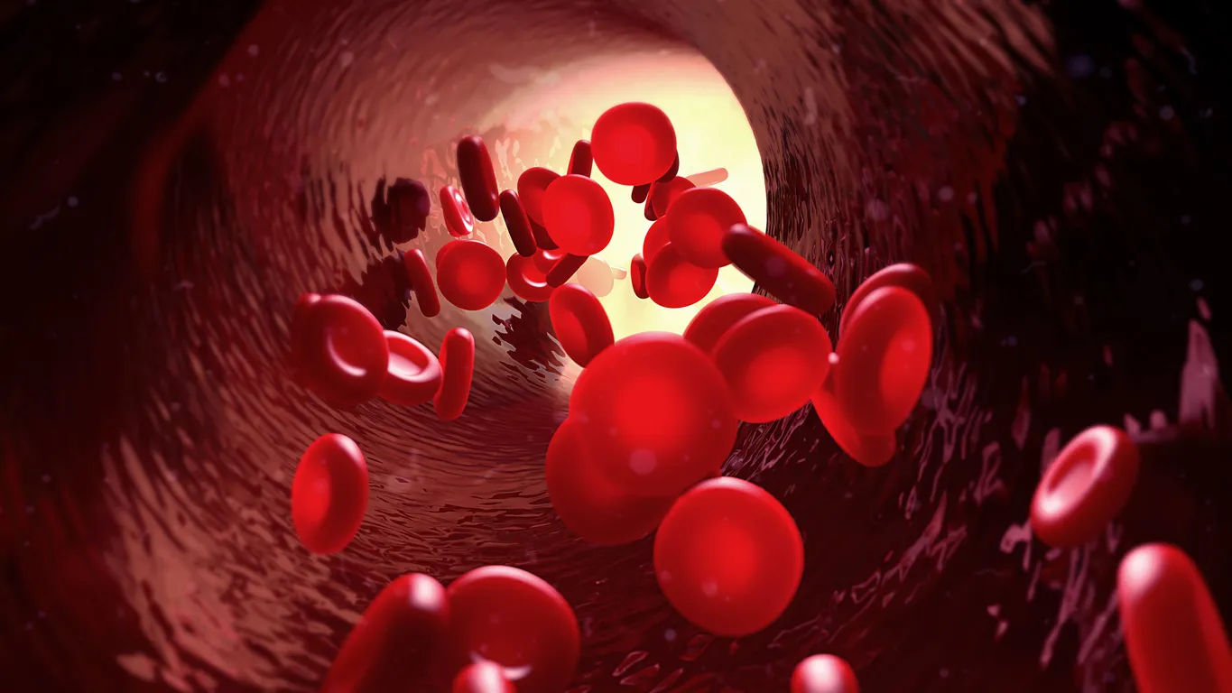 ¿Cómo puedo prevenir la anemia?