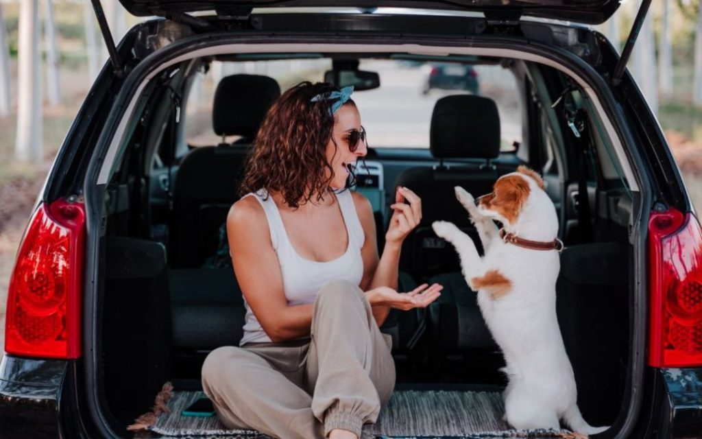 Beneficios de viajar de vacaciones con tu perro