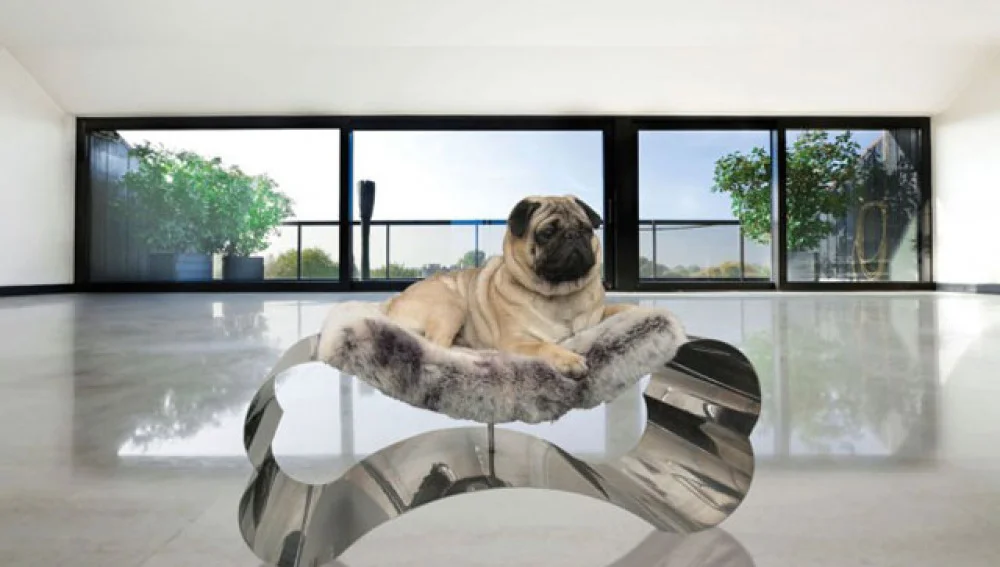 La importancia de las residencias de veraneo para mascotas Vida.es