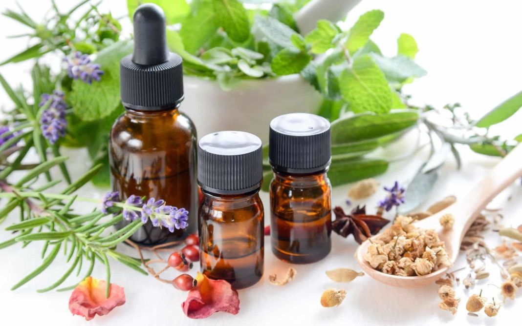 Hierbas y especias medicinales: 6 beneficios para tu salud 1 Vida.es ¿Qué son la hierbas y especias medicinales?