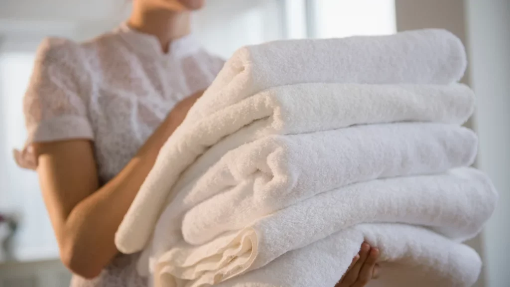 Bacterias y gérmenes en la toalla de manos