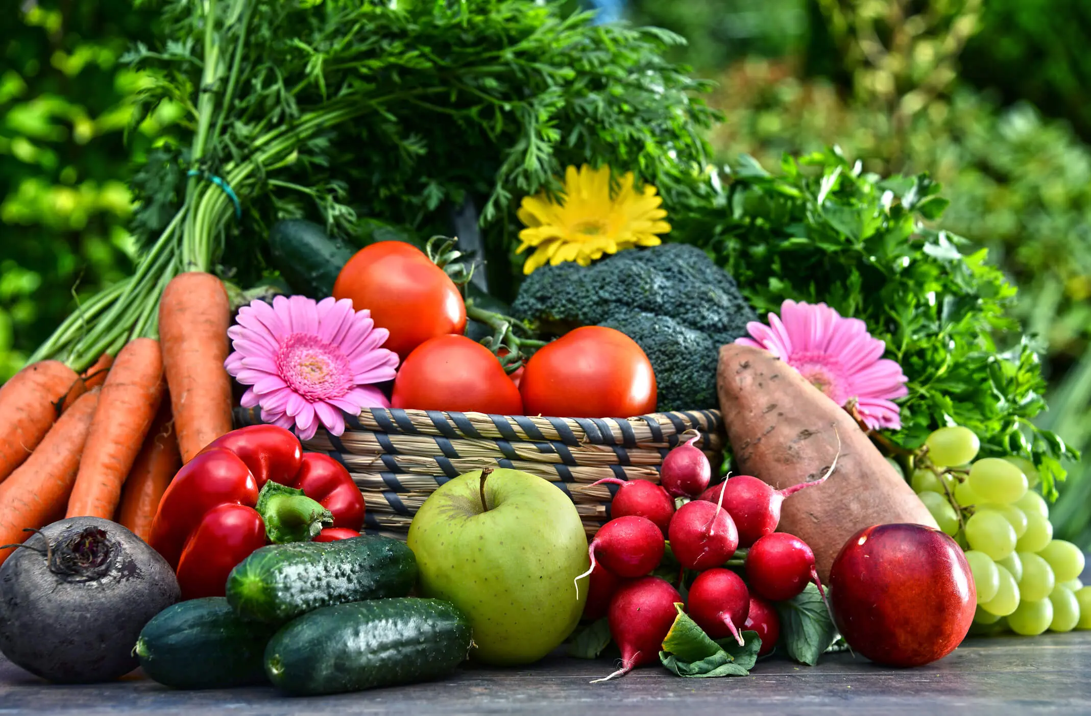 ¿Qué es la absorción de nutrientes?