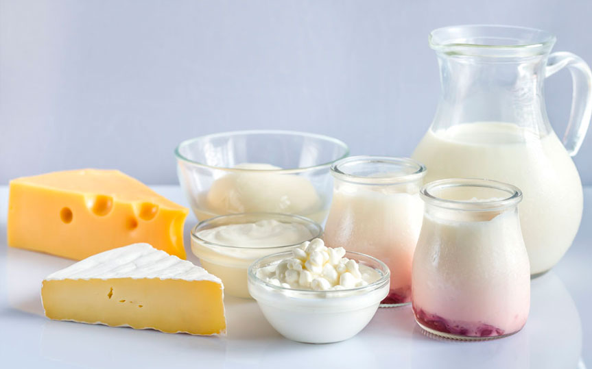 Tu mascota está en peligro si come estos alimentos típicos 4 Vida.es Productos lácteos