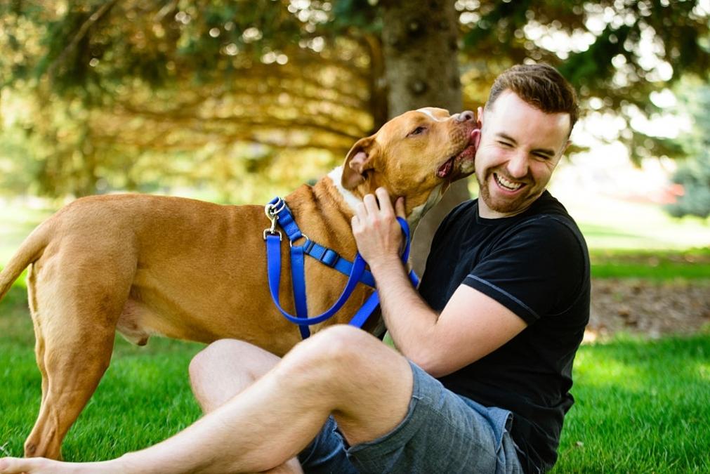 Riesgos para la seguridad y el bienestar de los perros y las personas