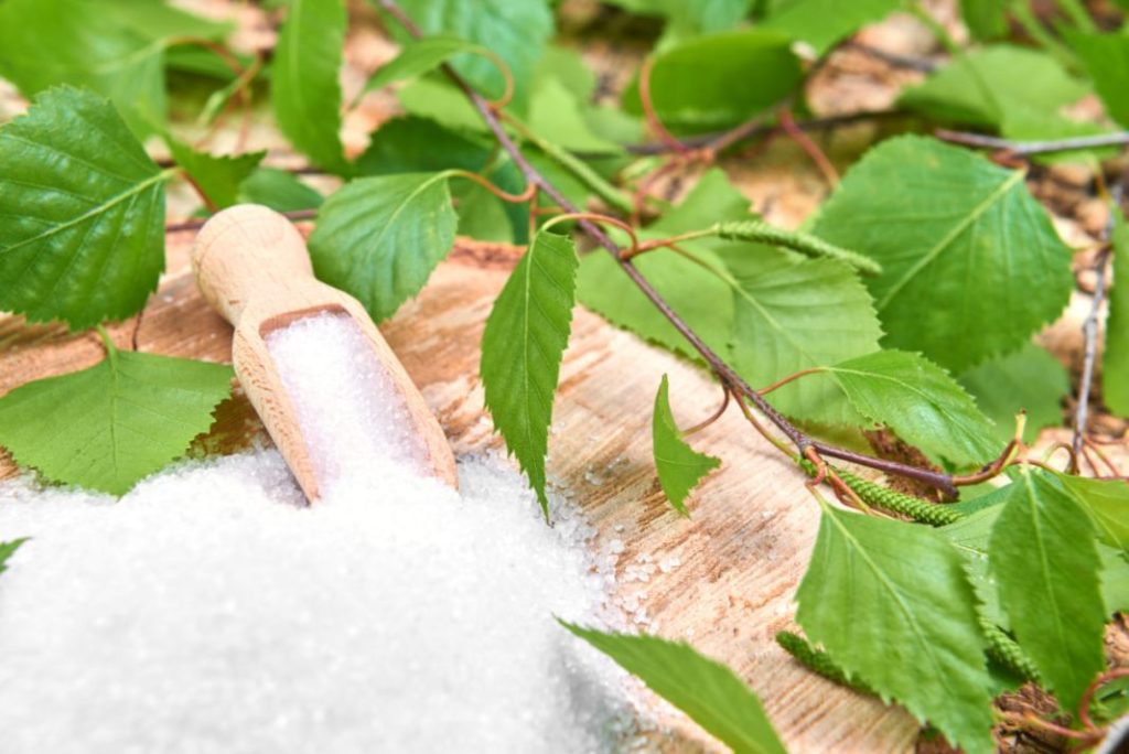 Tu mascota está en peligro si come estos alimentos típicos 5 Vida.es Xilitol