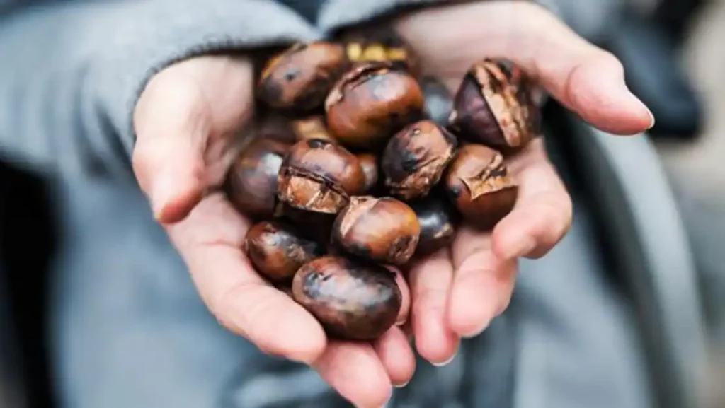 Los beneficios nutritivos de las castañas y por qué nos encantan cocinarlas en Otoño 2 Vida.es Beneficios para la salud cardiovascular