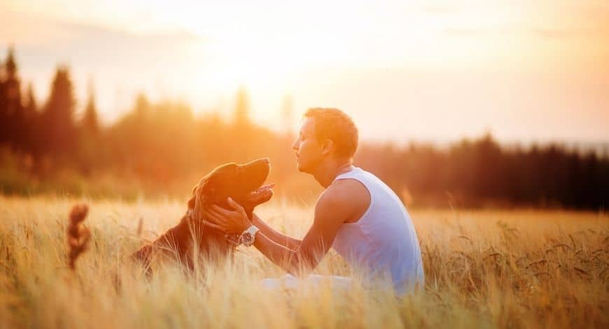 Tu perrito podría vivir más años con este increíble descubrimiento 4 Vida.es Posibles implicaciones para la investigación en terapias antienvejecimiento en humanos