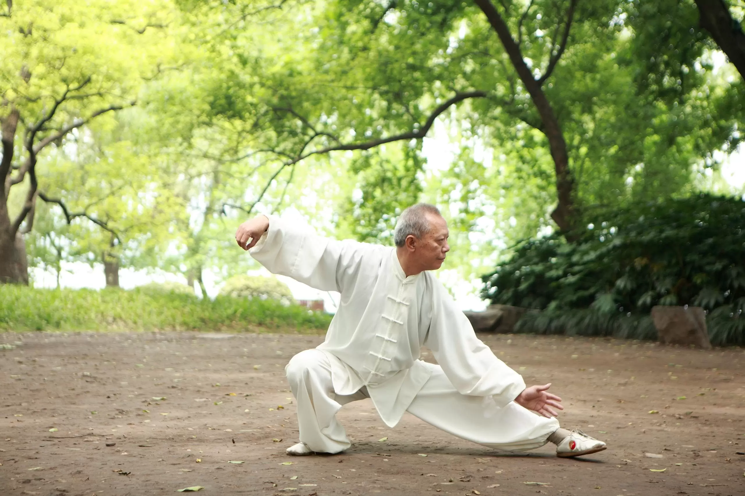 EL TAI CHI EN LA VIDA DIARIA: UNA PAUSA BIEN MERECIDA