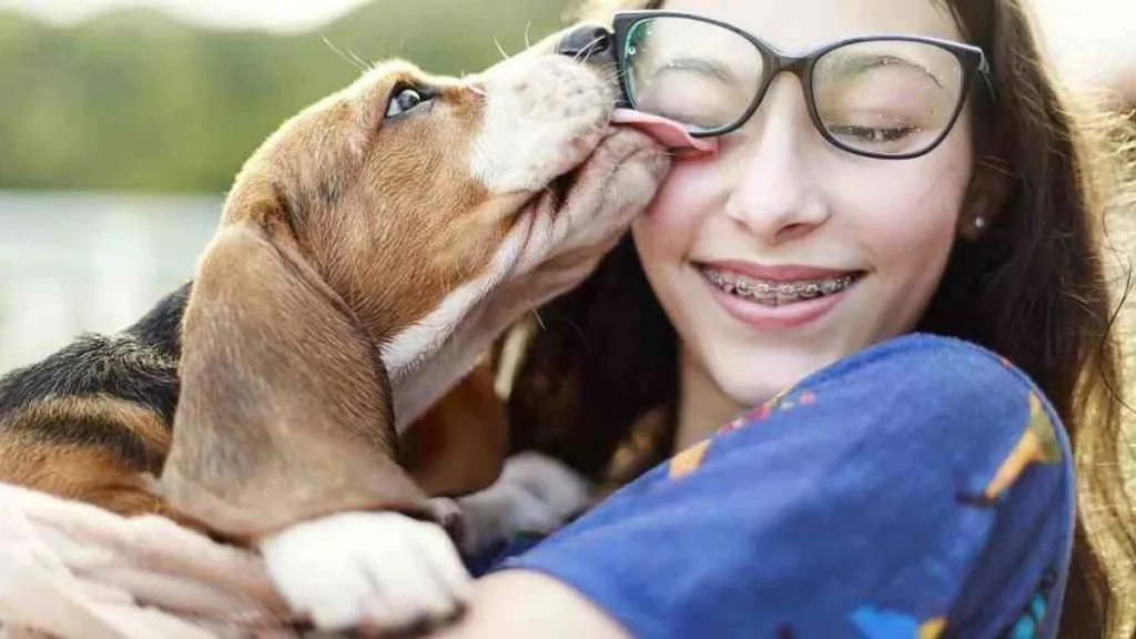 El impacto del entrenamiento en la memoria de los perros