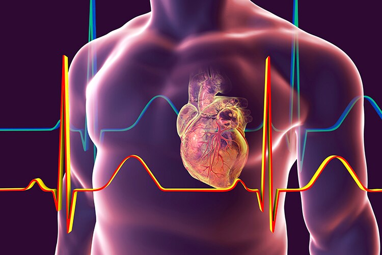 El vínculo entre el consumo de azúcar y las enfermedades cardiovasculares