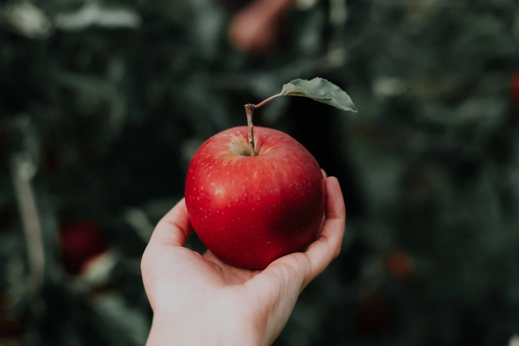 La importancia de la fibra en la piel de la manzana