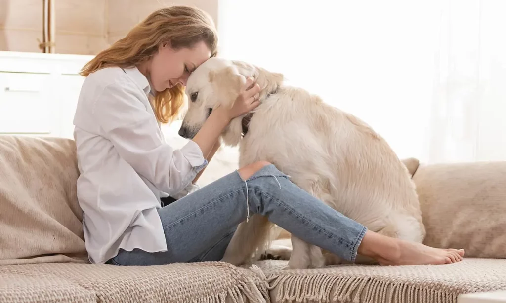 La relación especial entre los perros y sus dueños