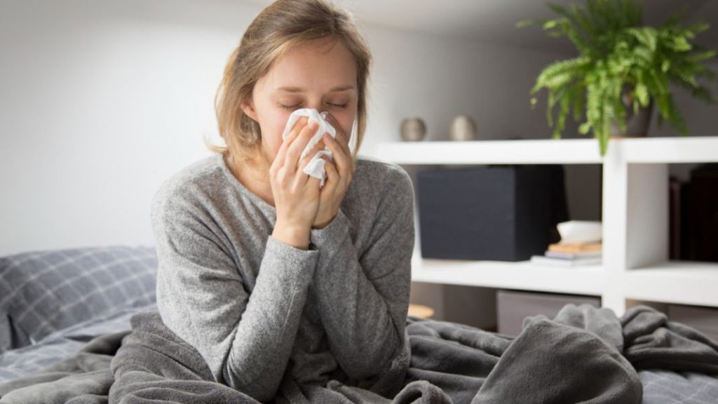 Mantén un ambiente limpio y bien ventilado