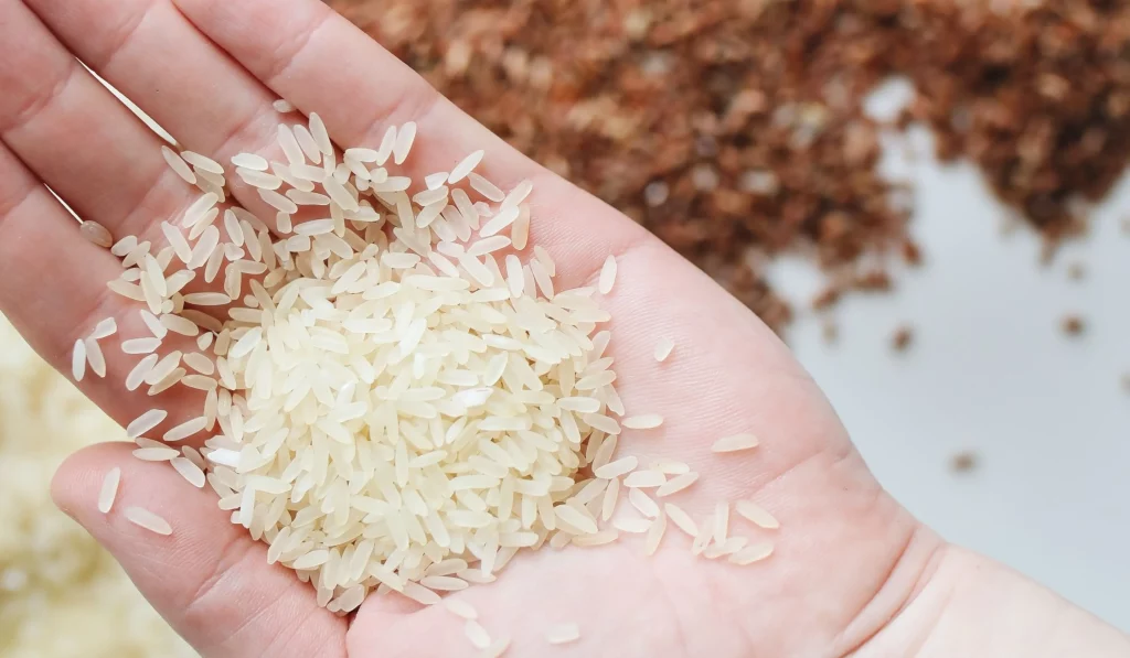 Origen de la recomendación de lavar el arroz