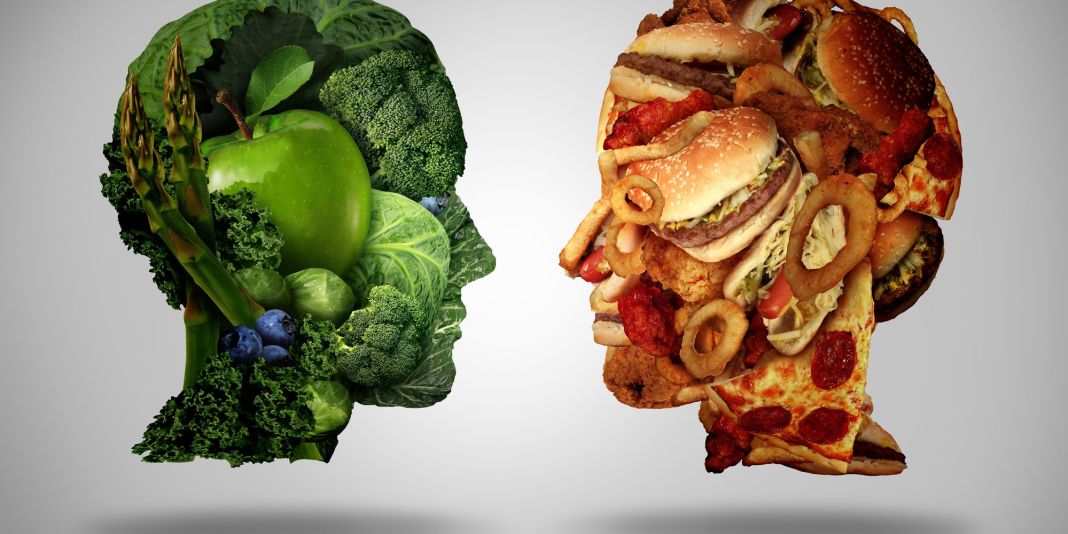 LA REALIDAD DE LOS ALIMENTOS PROCESADOS