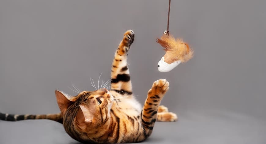 Pérdida o aumento de peso