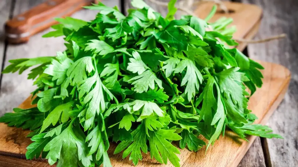 Cuídate con estos alimentos que ayudan a depurar tus riñones 4 Vida.es Perejil