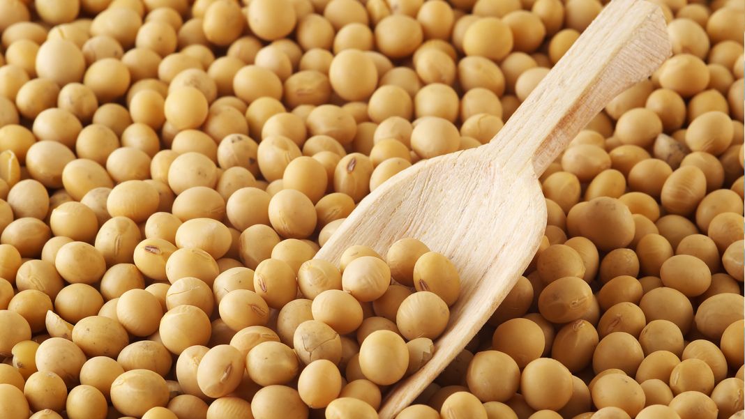 SOJA Y PRODUCTOS DERIVADOS